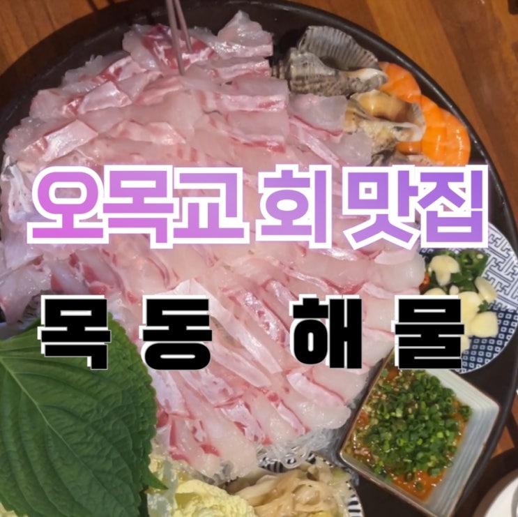  [오목교역 맛집] 회가 맛있는 목동 해물 (내돈내산)