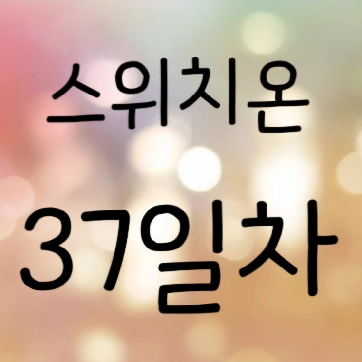  스위치온 37일차 후기 (두부과자 엽떡 폭주 무쳤다)