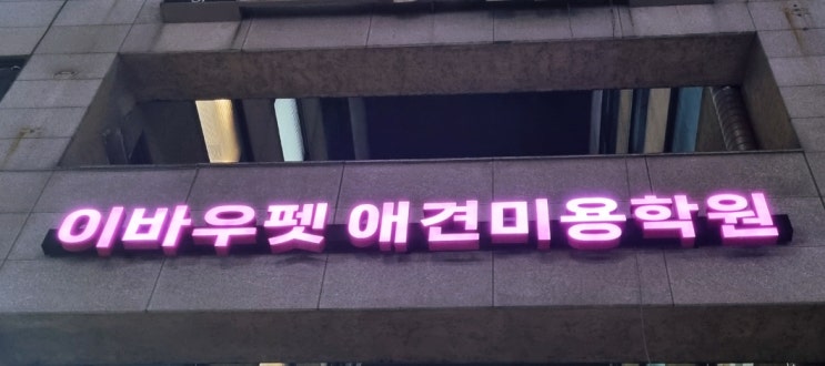  파주 애견미용학원 국내 최대규모 교육기관 이바우펫 소개