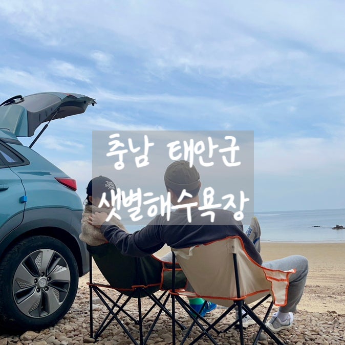 사진 5