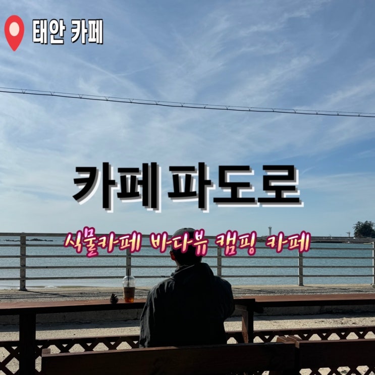  태안 카페 파도로/ 바다뷰 식물카페 가족들과 가기 좋은 곳