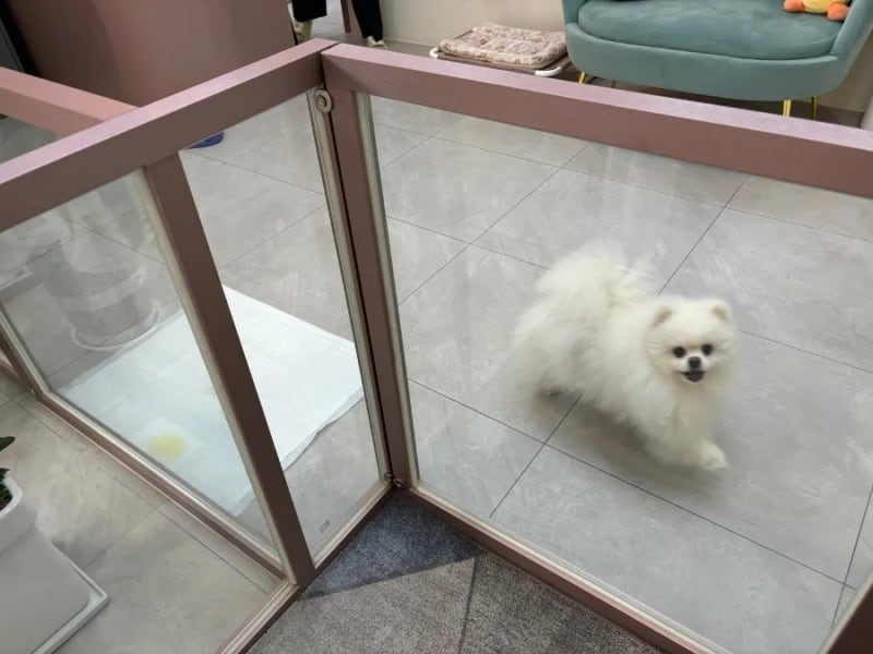 사진 12