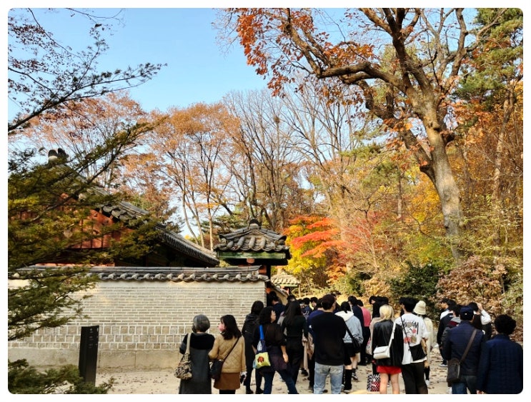  서울 단풍 명소 종묘 방문기, 입장료 문화재해설 등 여행정보 이모저모