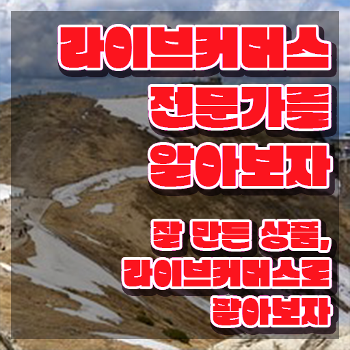  라이브커머스전문가 특강 , 라이브커머스전문가 자격증 직장인도 쉽게 준비한 과정 및 채용 정보