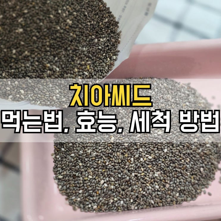  치아씨드 먹는법과 효능, 세척 방법까지 건강하게 즐기는 법