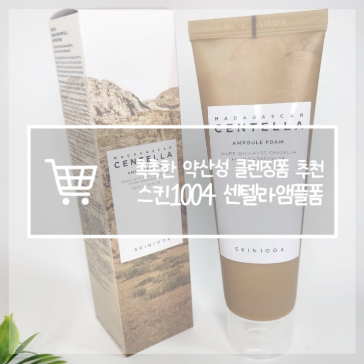  피부진정 효과적 저자극 앰플폼 스킨1004 약산성 폼클렌징 추천