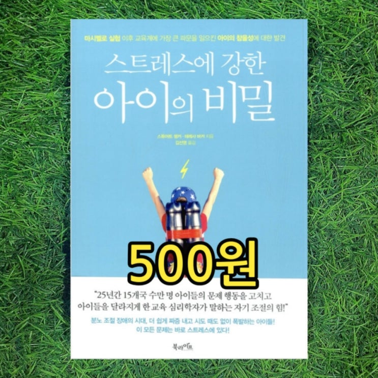  문제행동 참을성 없는 분노 조절 장애의 시대 스트레스를 극복하는 자기 조절방법 | 스트레스에 강한 아이의 비밀 중고책 500원 판매 헌책방 중고서점