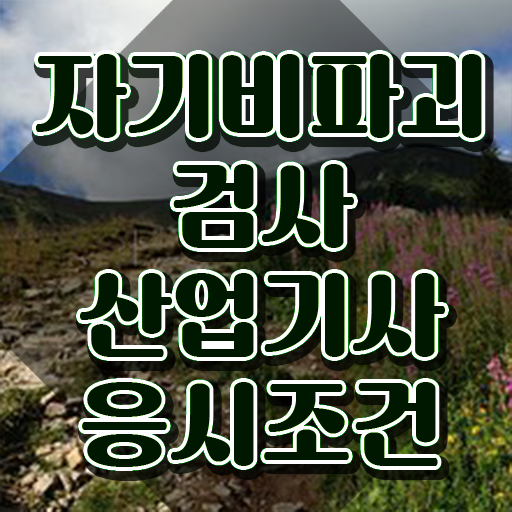  자기비파괴검사산업기사 학은제 자기비파괴검사산업기사 응시조건 인강으로 편하게 성공한 과정