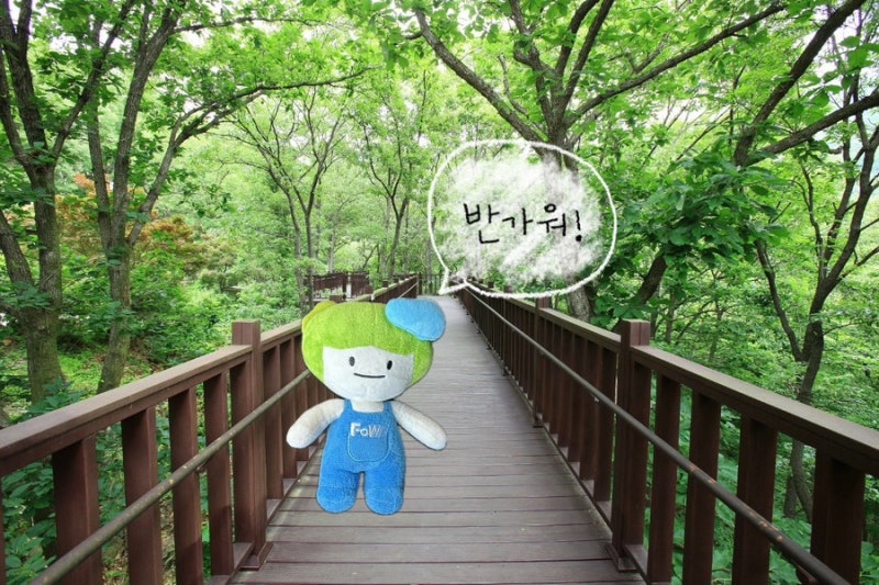숲테라피 이미지