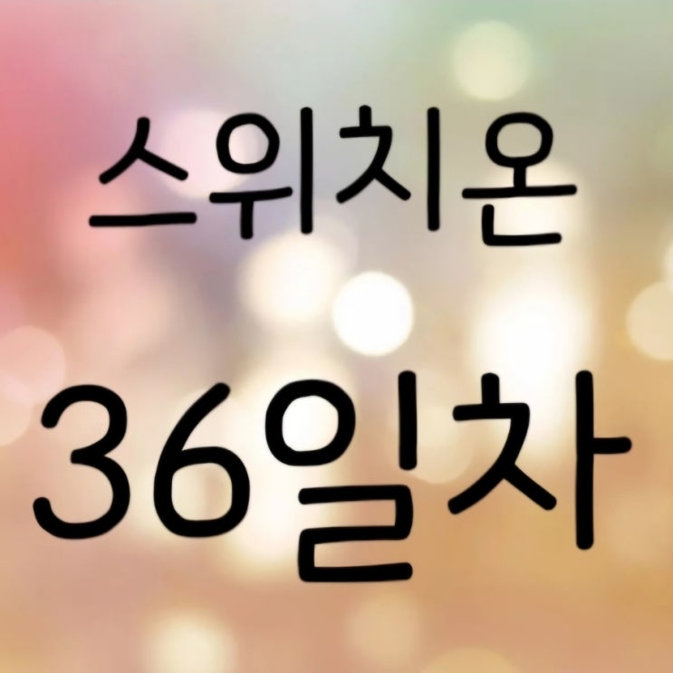  스위치온 36일차 후기 (저혈당으로 두부과자 추가, 56kg를 보다)