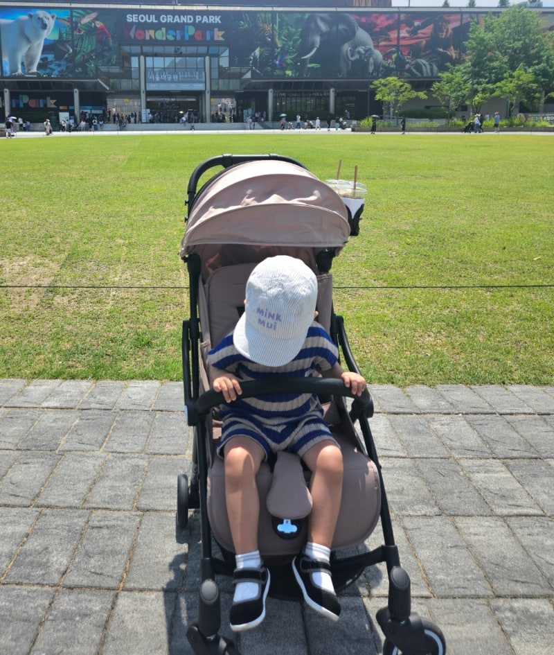 해밀턴 X1 PLUS 휴대용 유모차 내돈내산 후기｜매일 태우는 이유