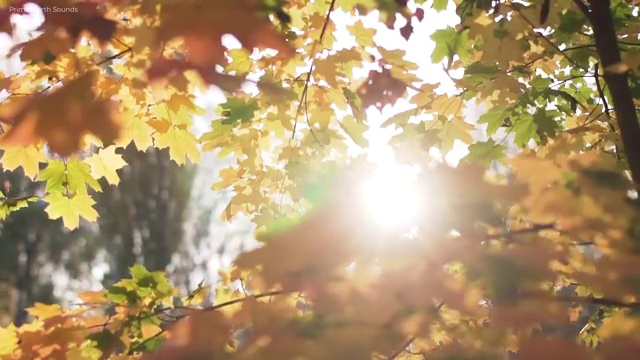  산업안전관리자 선임 기준 , 산업안전기사 응시자격 온라인 수업으로 편하게 준비한 비법  산업안전관리자 선임 기준 산업안전기사 시험응시조건 온라인으로 단기간에 성공한 노하우