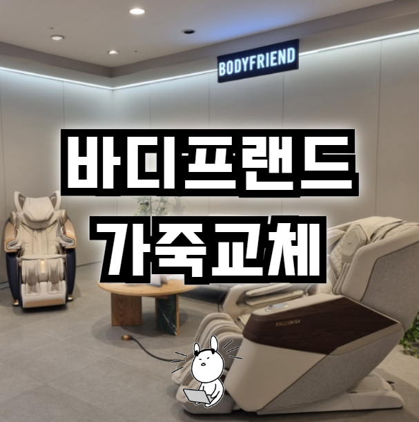 바디프랜드 팬텀 가죽 교체 비용, 절차