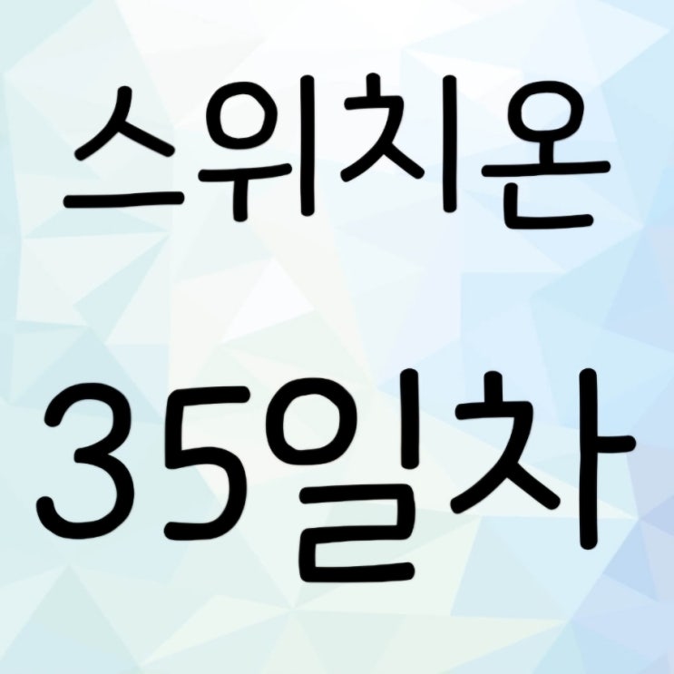  스위치온 35일차 후기 (만보걷기, 황금기 덕봤다)