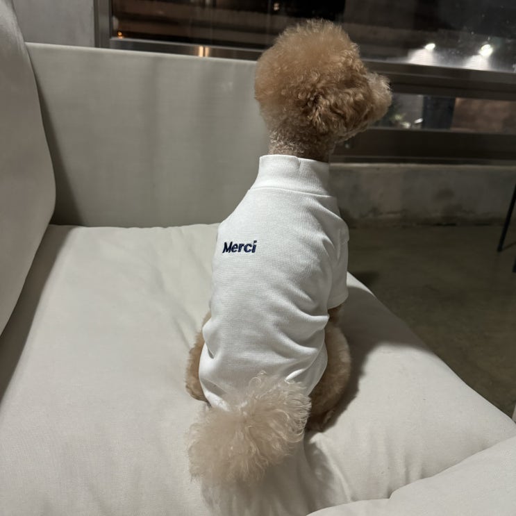  리니몽 메르시 골지 터틀넥