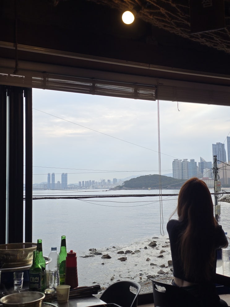  해운대 블루라인파크 미포정거장 근처 오션뷰 조개구이 맛집 일조집