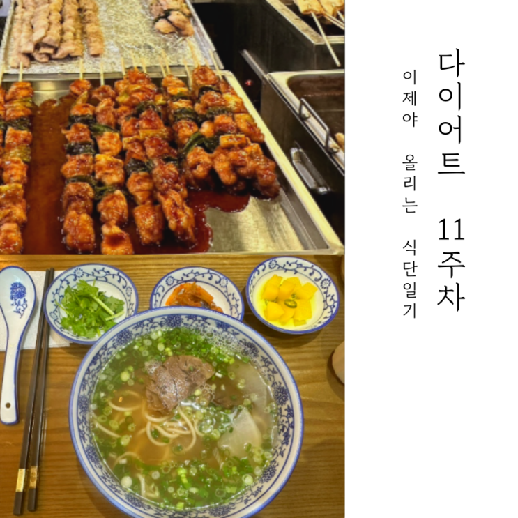  다이어트 11주차 이제 그만할래요