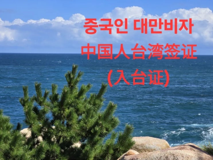  중국국적 대만복수비자 발급