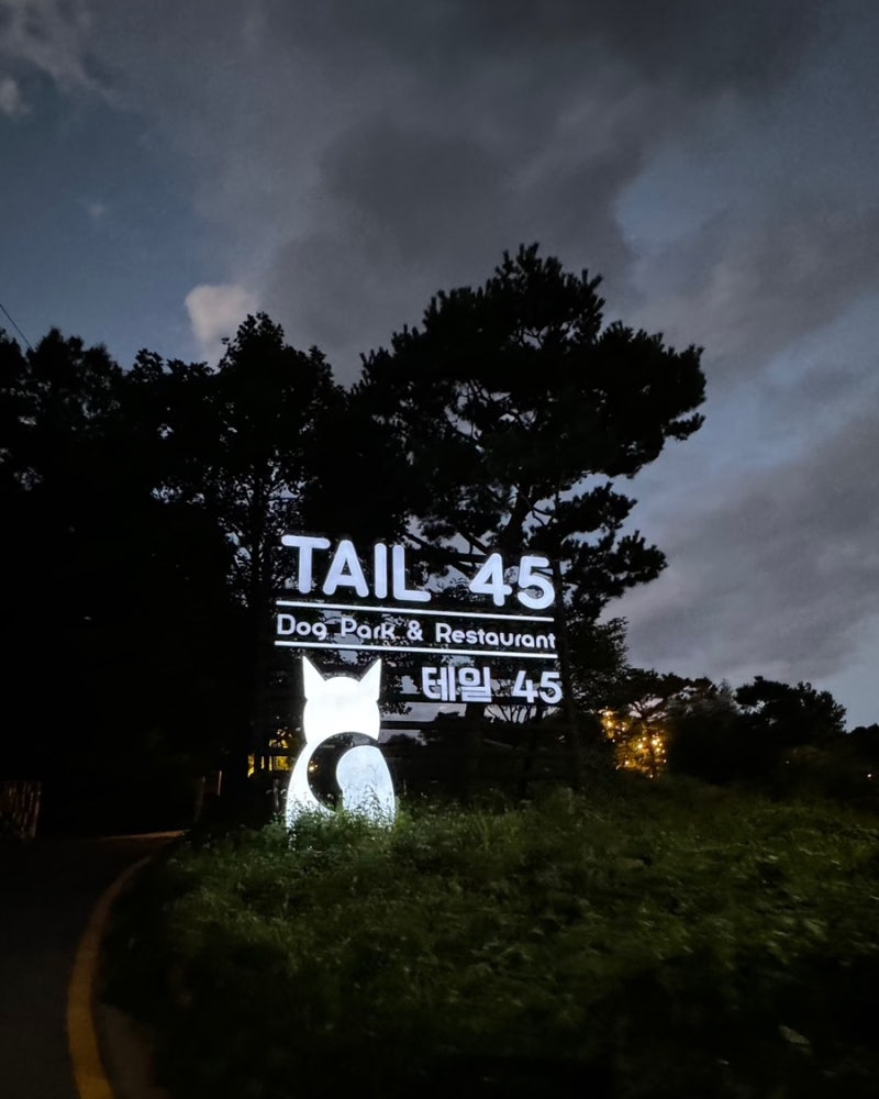 테일45