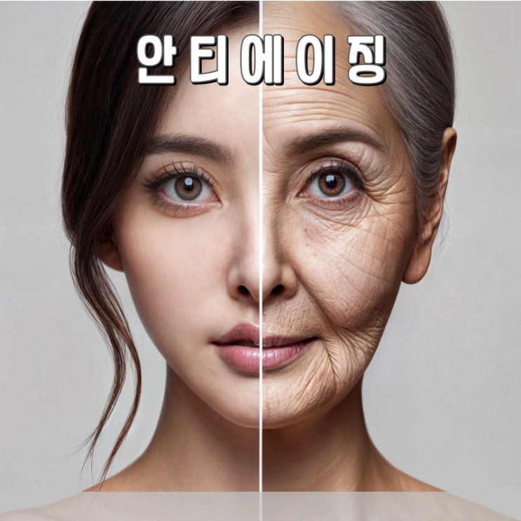피부 안티에이징에 대한 모든 것