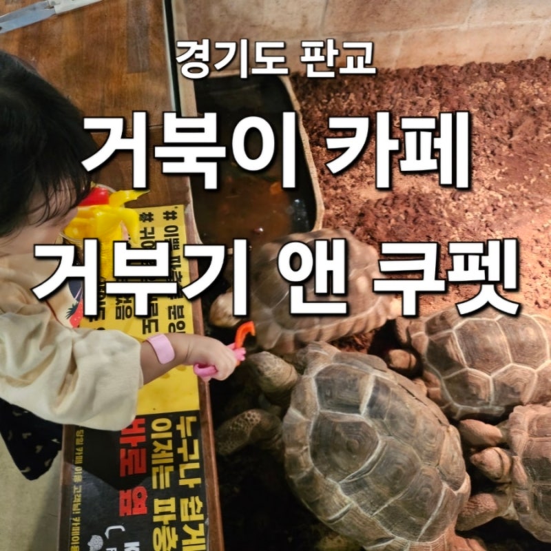 사진 7