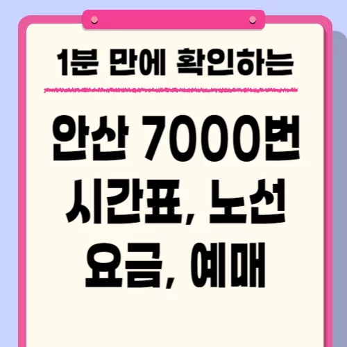  700번 버스 시간표 노선 요금 예매 방법