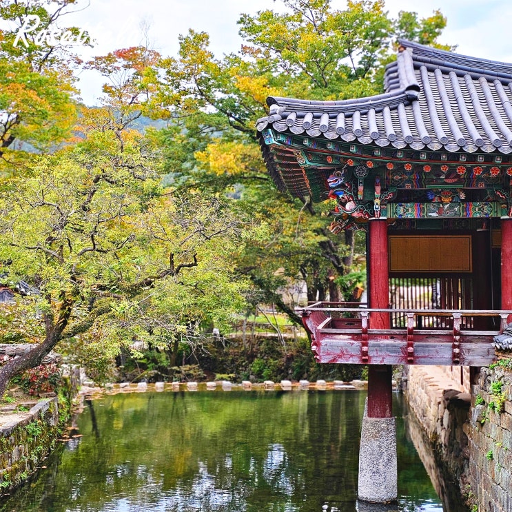  순천 송광사 단풍 시기 법정스님 무소유길 산책 가족여행 코스