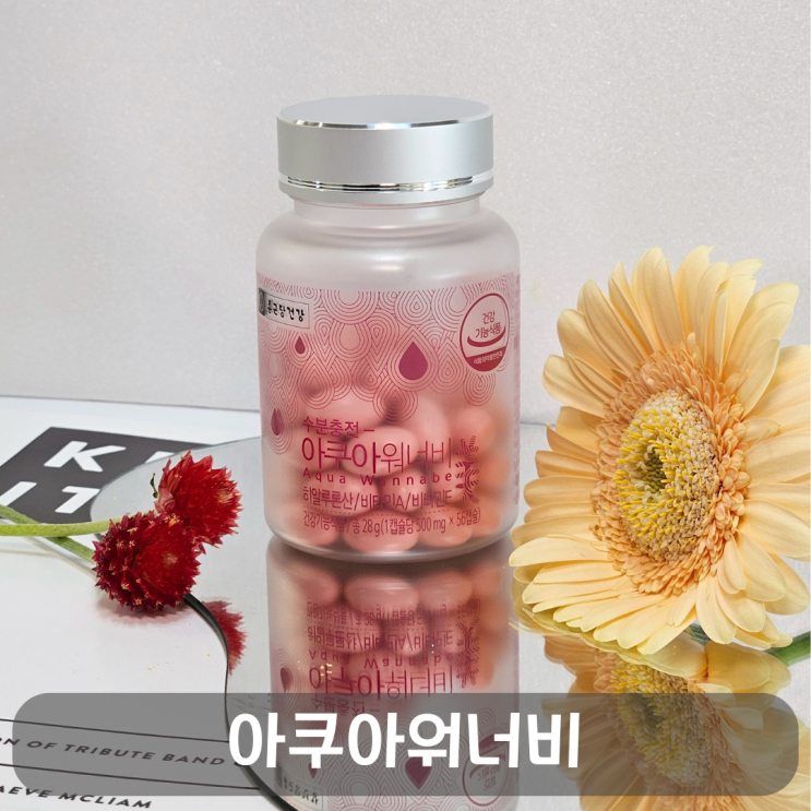  종근당건강 수분충전 아쿠아 워너비, 극건성 40대 피부 구원템