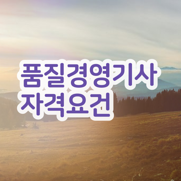  품질경영기사 필기 공부법 , 품질경영기사 취득자격 온라인 수업으로 빠르게 끝낸 후기