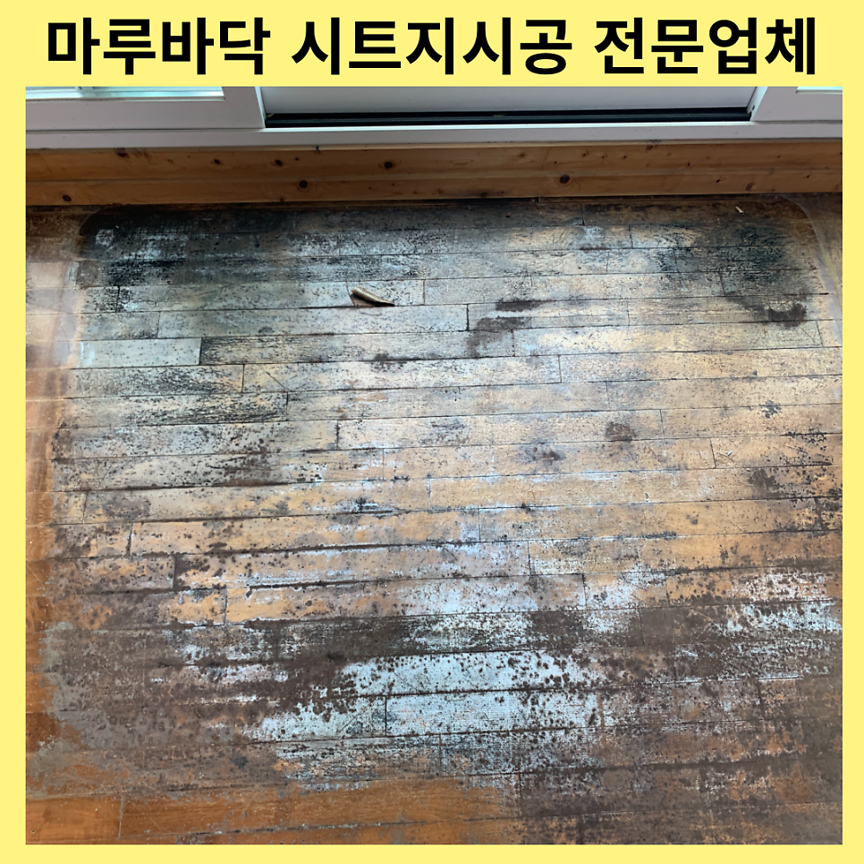 썩은마루바닥 시트지시공 전문업체