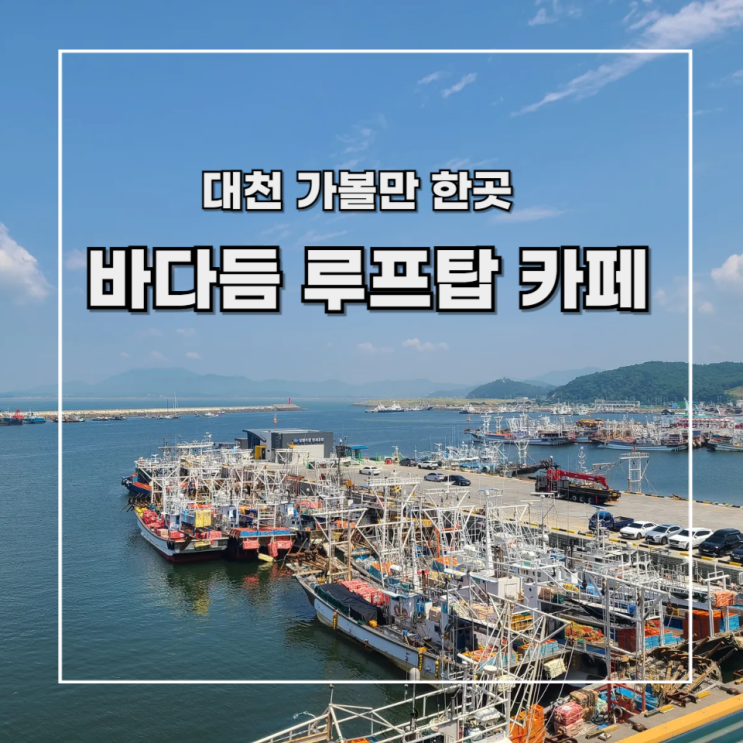  [대천 카페] 보령 수협 바다듬 루프탑 카페 후기 (feat. 로컬 푸드 마켓)