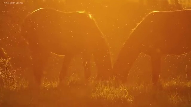  춘천 사회복지사 채용 , 사회복지사2급 조건이 안돼도 인강으로 편하게