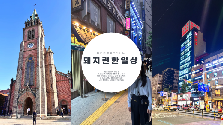  또간집 뿌시고 다니는 돼지런한 일상 명동 성당 결혼식 참석 후 맛집에서 먹는 꿀밥 명동 12층 다이소