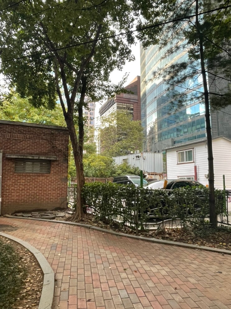  [을지로/다동] 황소막창 (휴업)