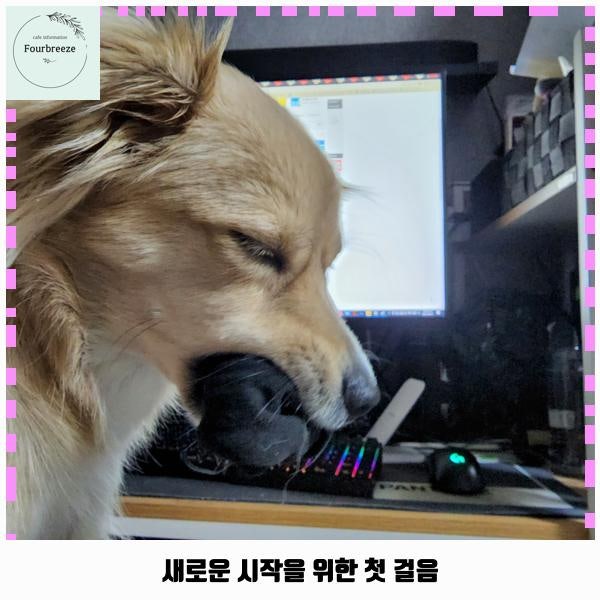 사진 2