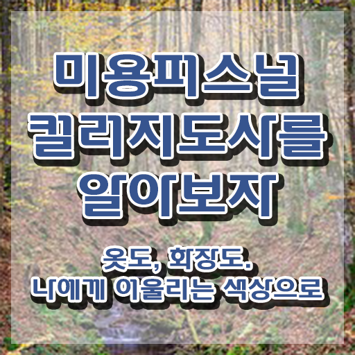  미용퍼스널컬러지도사 , 미용퍼스널컬러지도사 자격증 온라인 교육으로 합격한 전략 , 무료수강 혜택