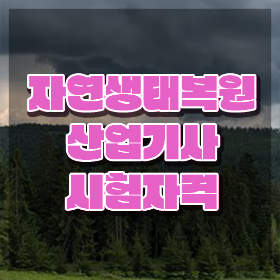  자연생태복원산업기사 합격률 자연생태복원산업기사 시험응시조건 학점은행제로 간편하게 준비한 팁