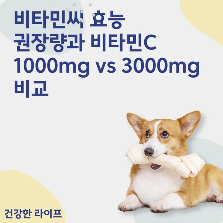  비타민씨 효능, 권장량과 비타민C 1000mg vs 3000mg 비교