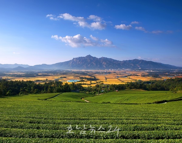  영암 월출산에서 전국 산악인들의 축제 등산대회 열린다..‘제56회 대통령기 전국 등산대회’ 개최