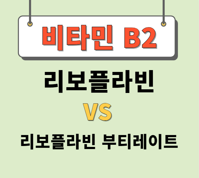  리보플라빈 리보플라빈부티레이트 차이 완벽정리