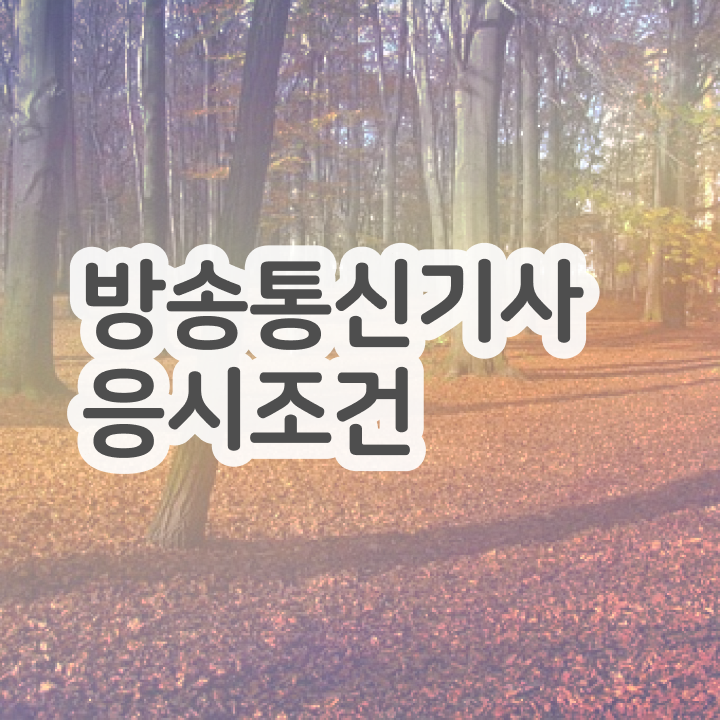  방송통신기사 응시자격 온라인으로 쉽고 빠르게 완료한 전략