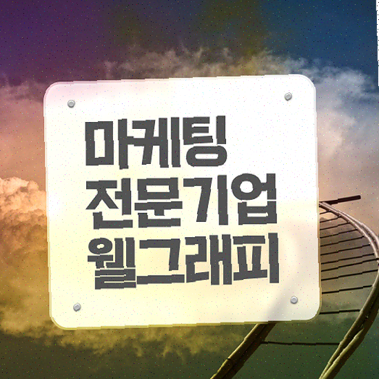  마케팅 솔루션 , 쇼핑몰 특화 초기비용 절감 디자인 무료