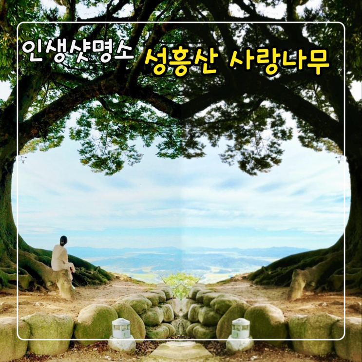  부여 성흥산성 사랑나무 후기와 주차 및 소요시간 확인