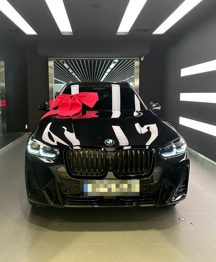  임신일기 :: 임신 중기 30주차 일상(+BMW X3 Msptpro 출고+포항 여행)