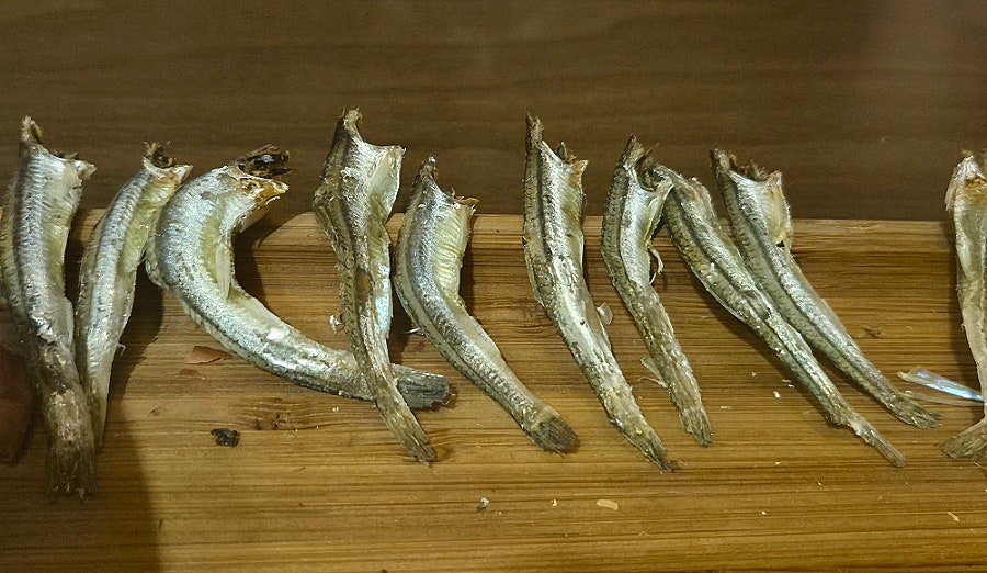 일루와 사진 5