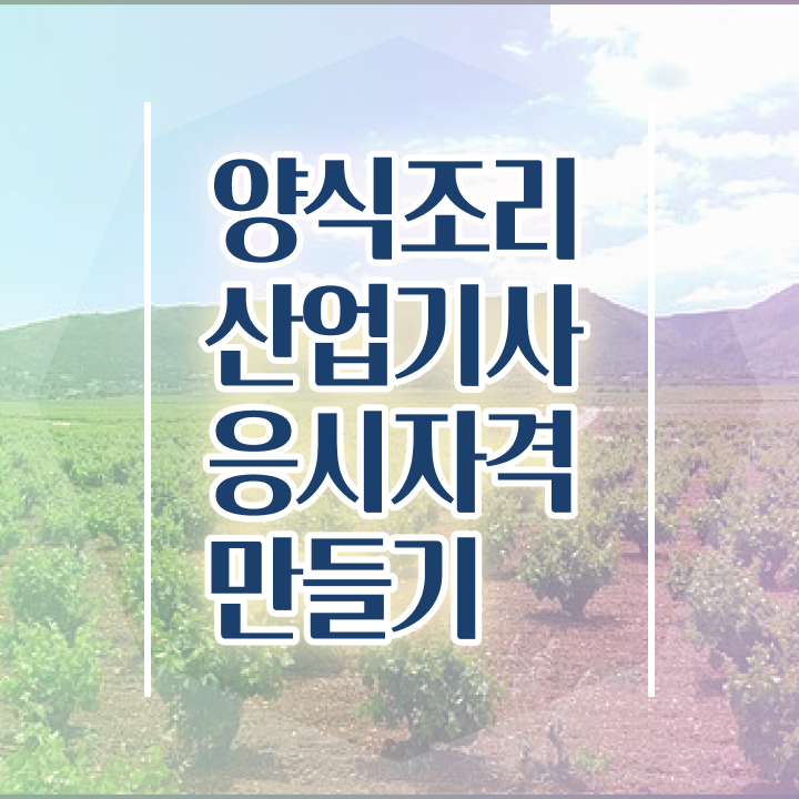  양식조리산업기사 시험응시자격 온라인 과정으로 간편하게 준비한 과정