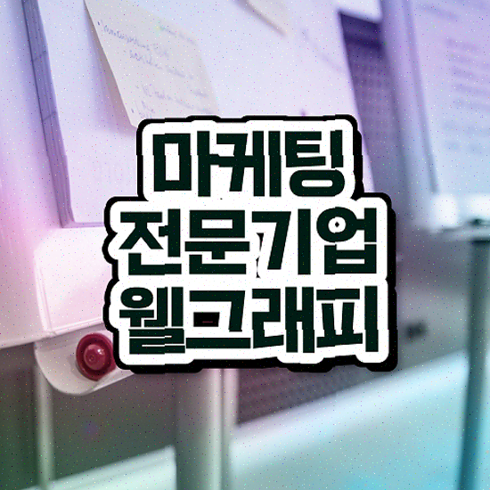  쇼핑몰 제작 업체 , 고급형 즉시 수정 포트폴리오 제공