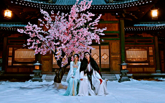  [중드] 풍월여설(风月如雪)