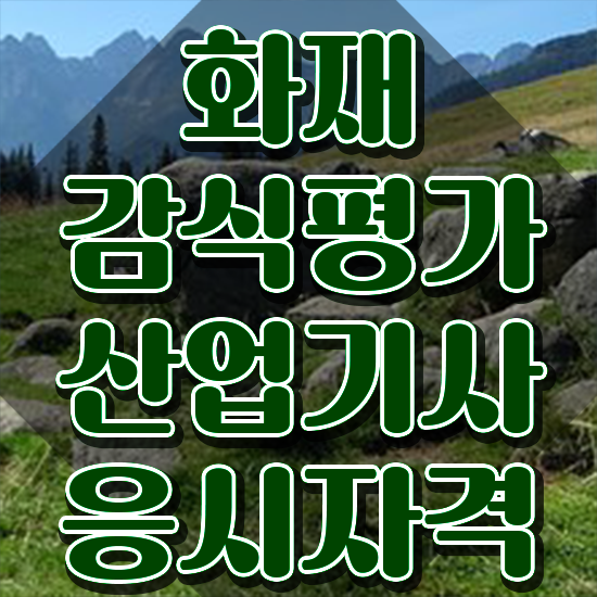  화재감식평가산업기사 시험응시조건 집에서 온라인으로 쉽고 빠르게 성공한 노하우