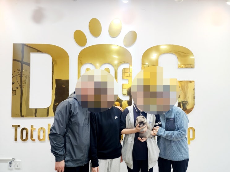  세종시 포메라니안 분양 성공! 인형같이 귀여운 세이블 포메, 화목한 가정에 입양 완료 / 세종 강아지분양 애견분양 전문 센터